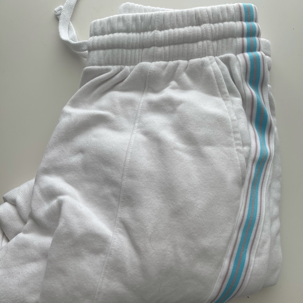 Aritzia Joggers NWOT